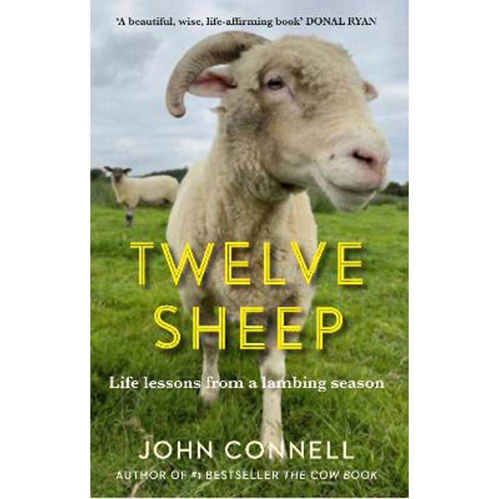 Twelve Sheep: Life lessons from a lambing season (Hardback) - John Connell